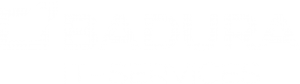 LOGO_BADUAR_IT_SERVICE_weiss